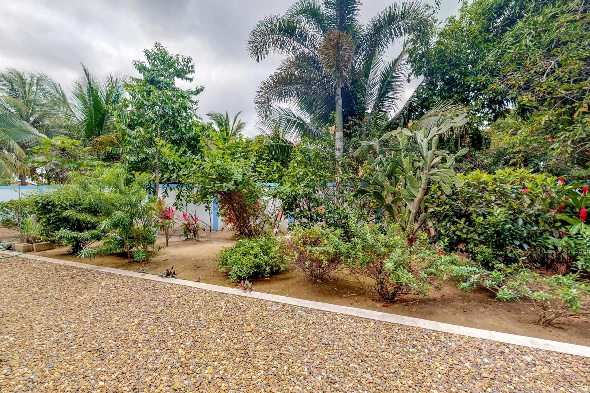 Latitude 17 Daire Hopkins Dış mekan fotoğraf